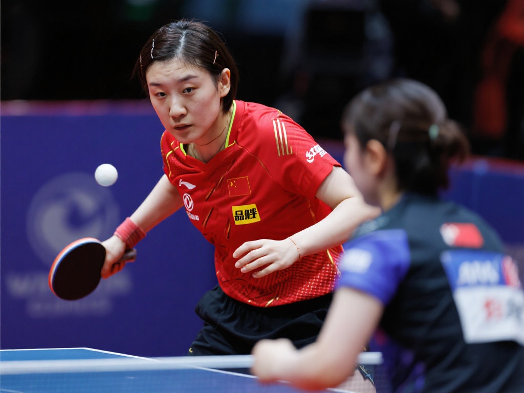 能与欧冠赛 能与欧冠赛